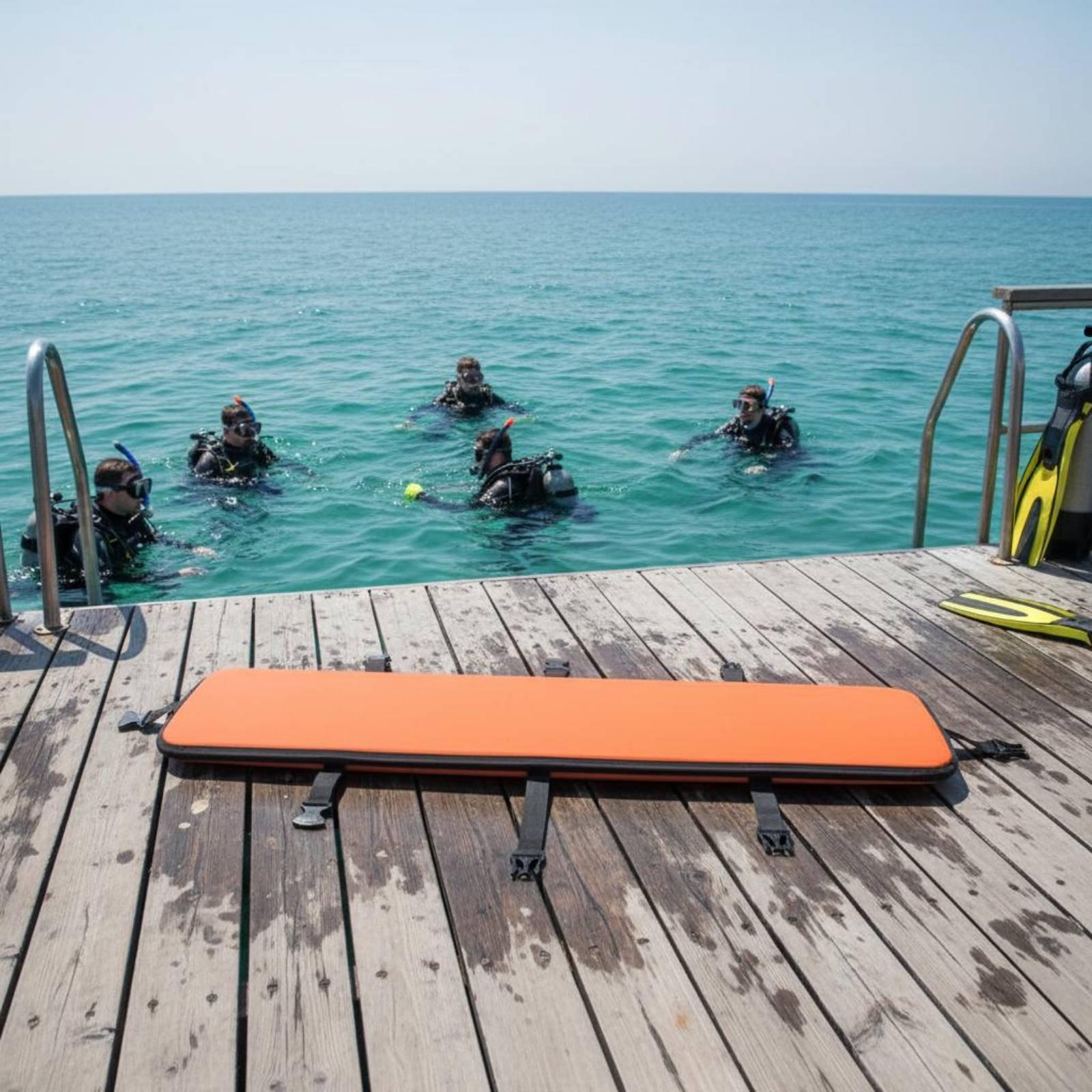 Tas Pembawa Sirip Selam, Tas S - Fin Diving Blade ulasan dan harga
